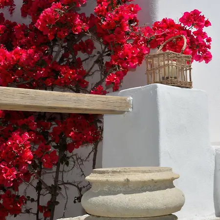 Dom wakacyjny Exquisite Estate, Serene Environment Lefkes (Paros)