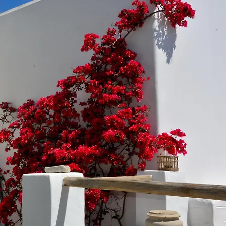 Exquisite Estate, Serene Environment Dom wakacyjny Lefkes (Paros)