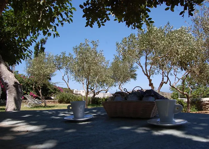 Casa de Férias Exquisite Estate, Serene Environment *