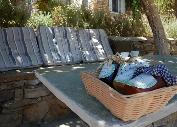 Casa de Férias Exquisite Estate, Serene Environment *