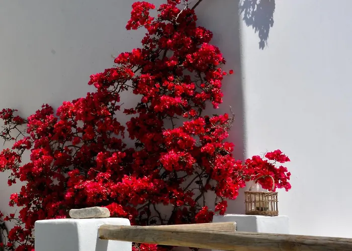 Exquisite Estate, Serene Environment Casa de Férias Lefkes (Paros)